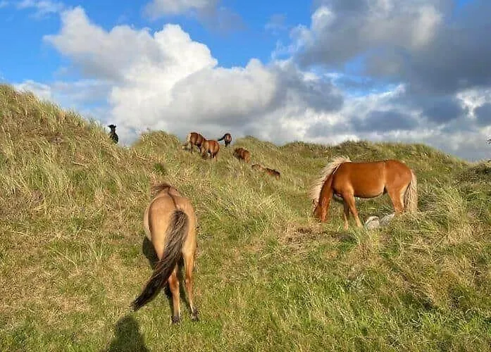 Сasa de vacaciones Bl1428-saltum-karen-mariesvej-31-d Saltum