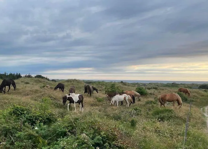 Bl1428-saltum-karen-mariesvej-31-d Saltum